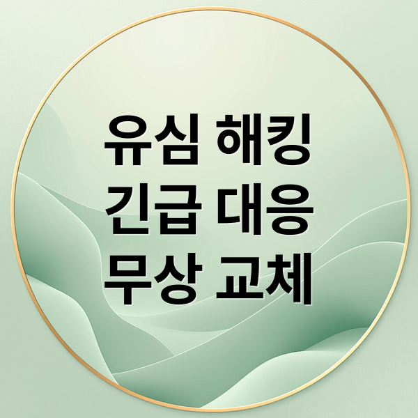 sk 유심해킹